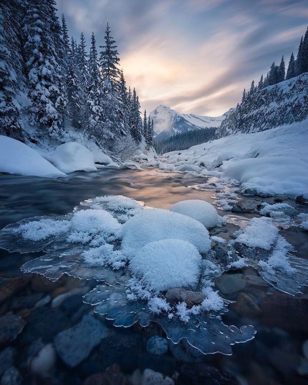 природа зимняя