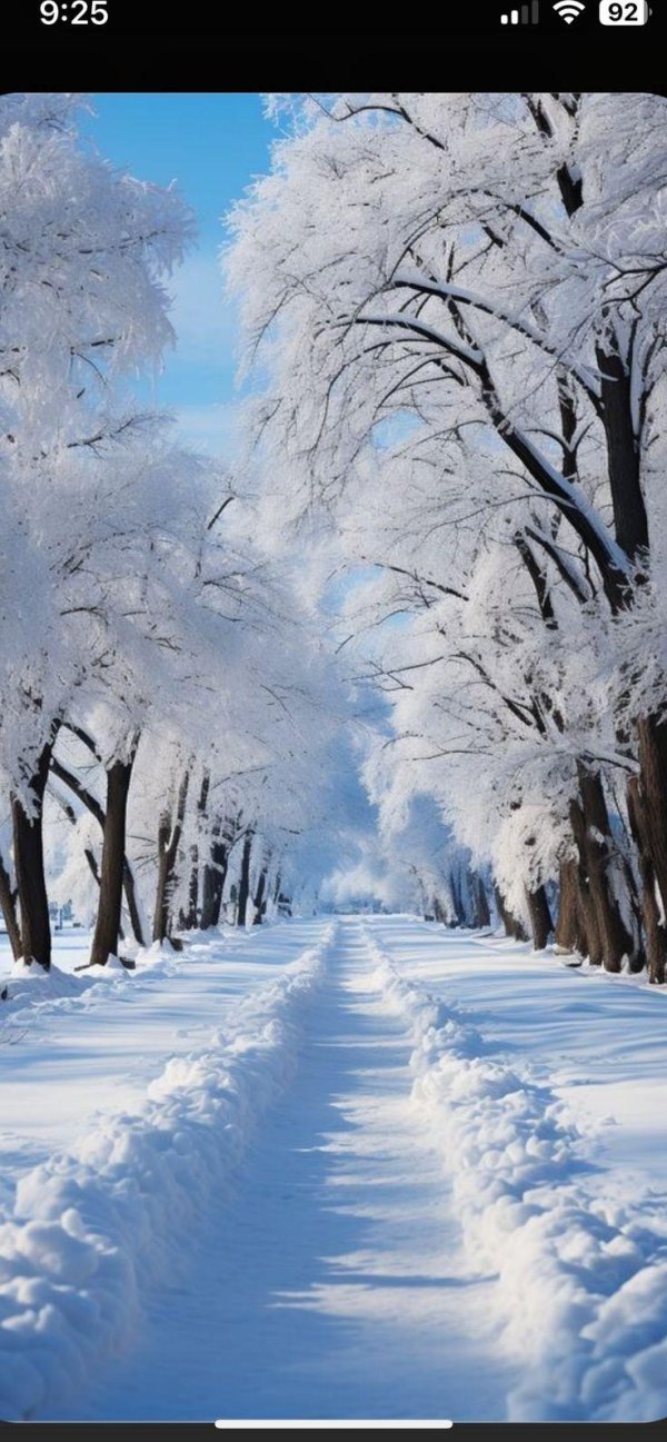 зимние фотографии