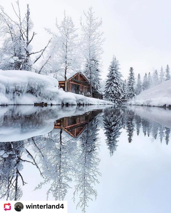 домик в зимнем лесу