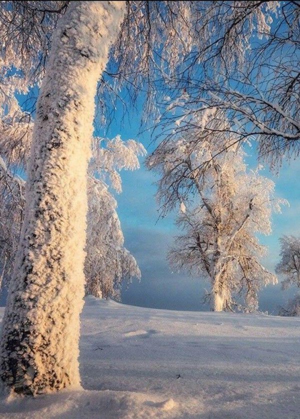 иней изморозь куржак