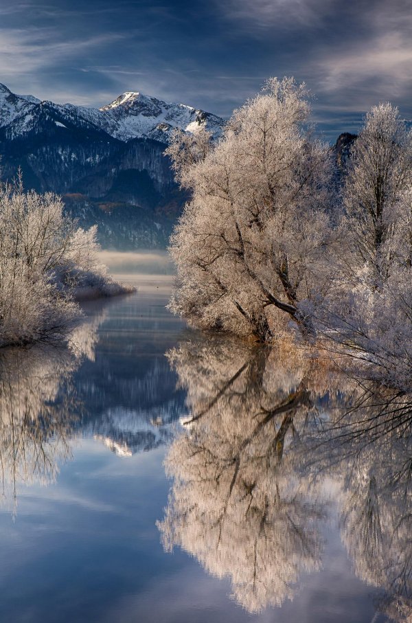 отражение зимы