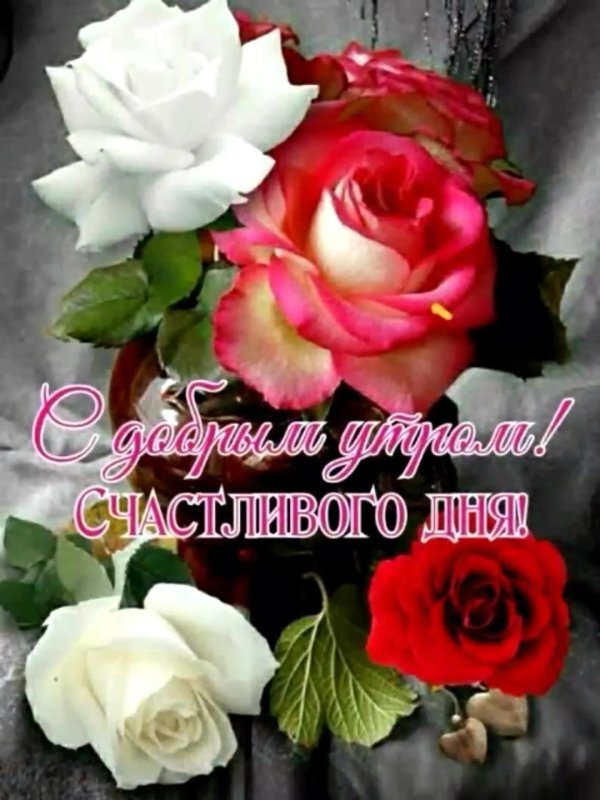 розы с пожеланиями