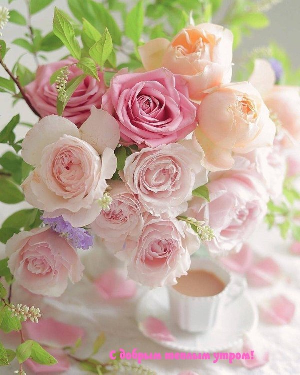 утром доброе