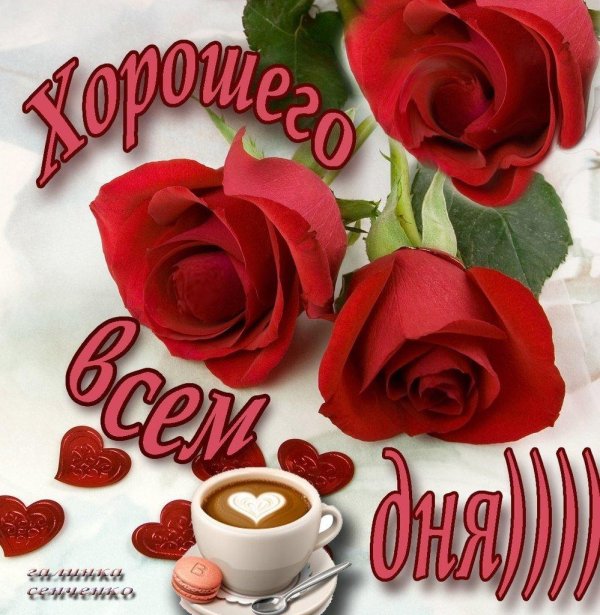 приветик хорошего дня и настроения