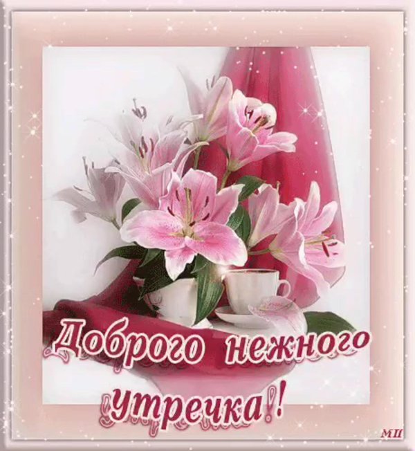 нежного утречка