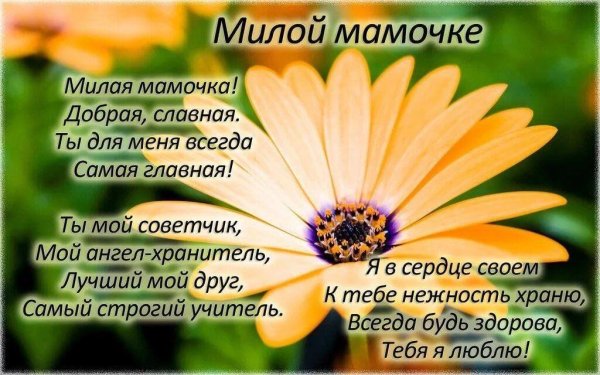 любимая мамочка