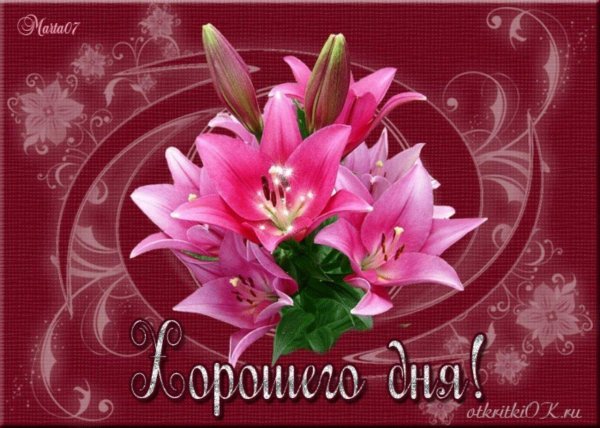 открытка лилии