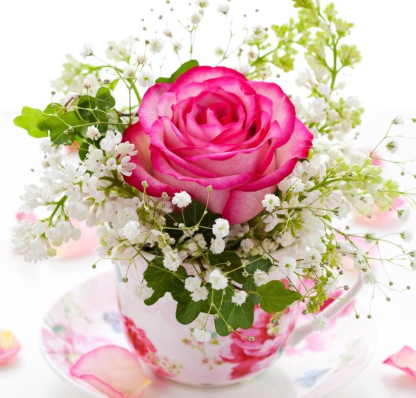 доброе утро цветы красивые