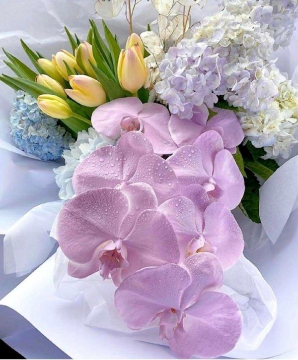 нежный цветок