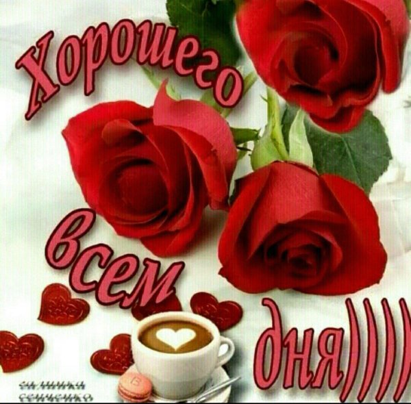 приветик хорошего дня и настроения