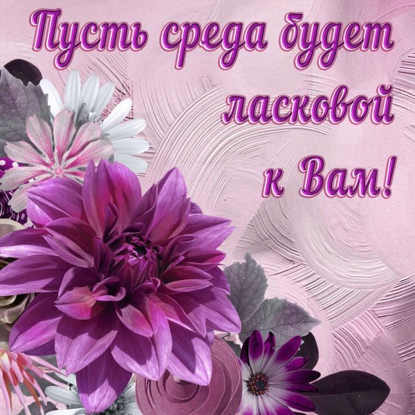 пожелание хорошей среды