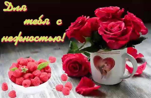 добрый день любимый