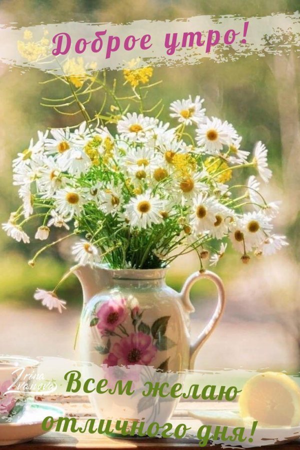 летнее утро доброе