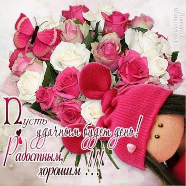 открытки с пожеланиями хорошего дня