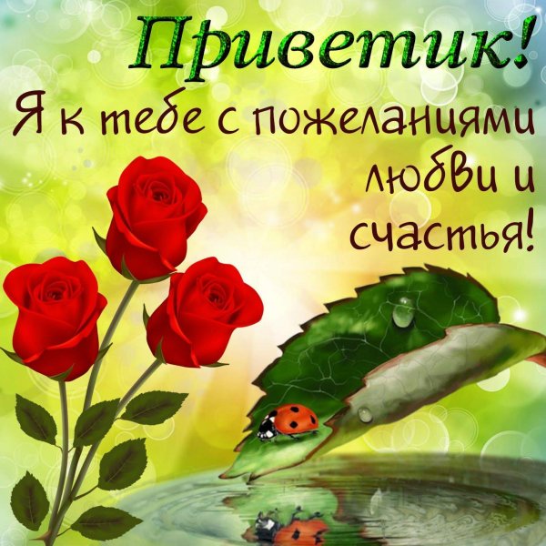 летний приветик