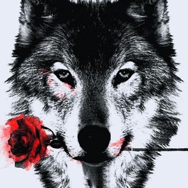 волки одиночки