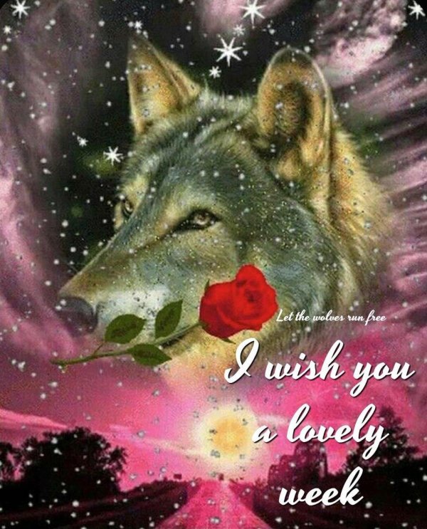 спокойной ночи с волком