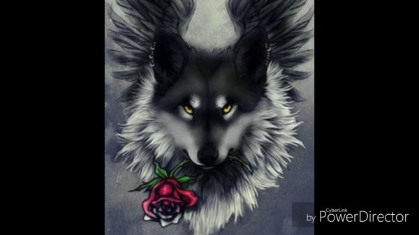 одиноки волк