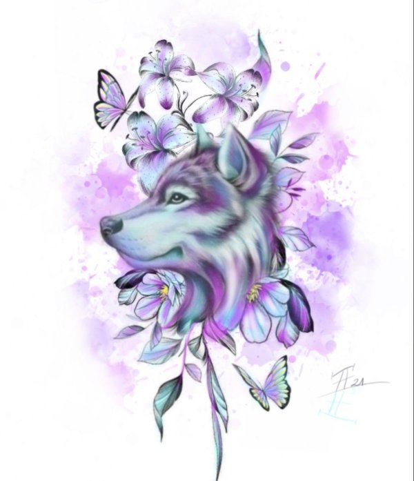 волчица тату эскиз