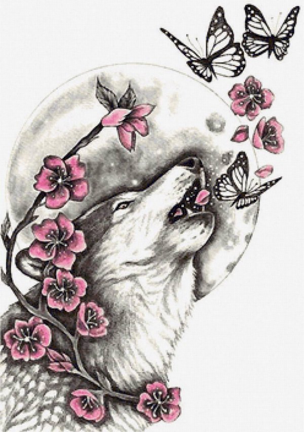 волка рисунок