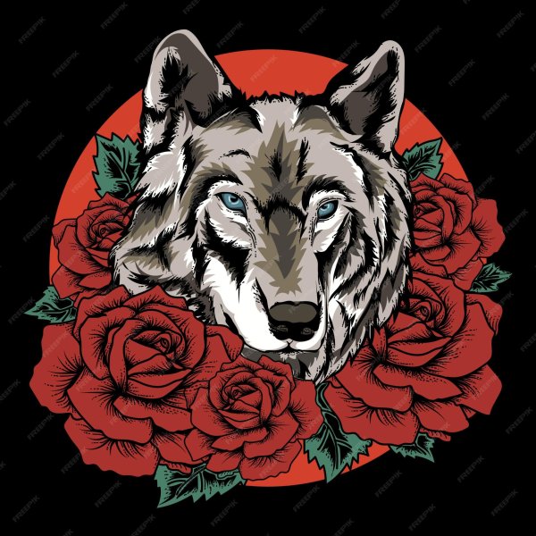 волк графика