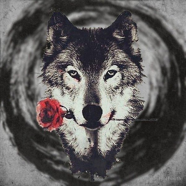 принты волк