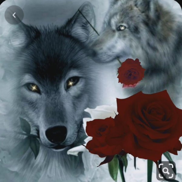 расим бурилар