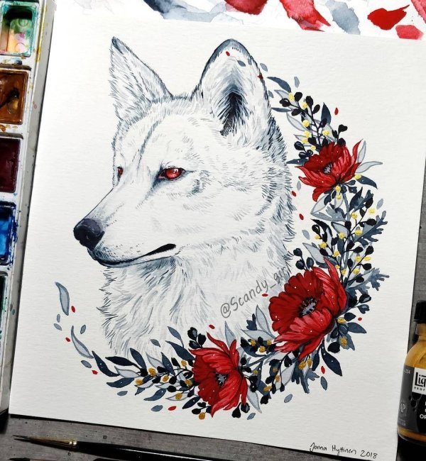 рисунки волков