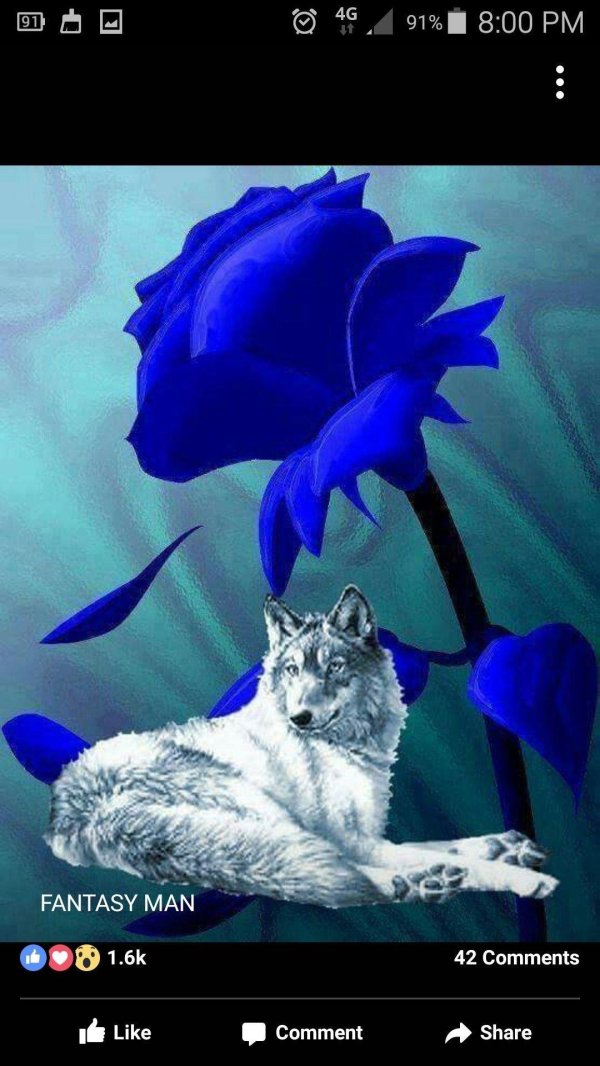 цветы на синем