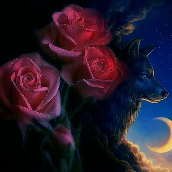 красивые волки