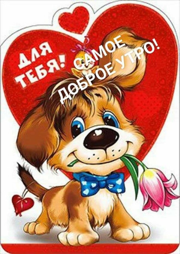 доброе утро мультяшки