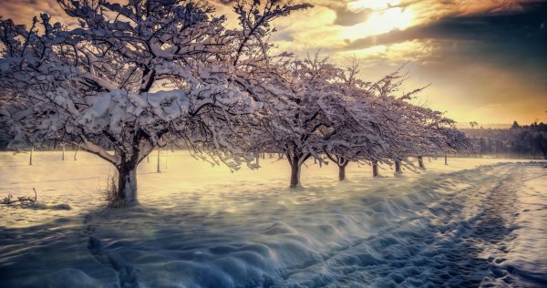 природа зимняя