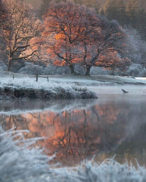 поздняя осень