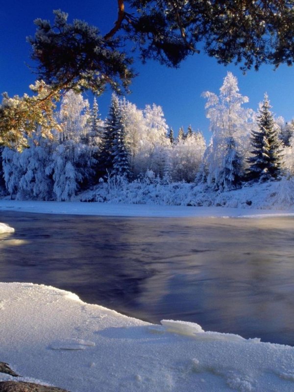 зимняя река