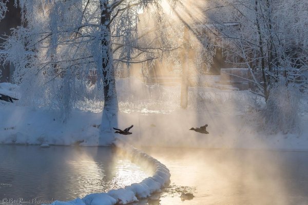 зима спокойствие