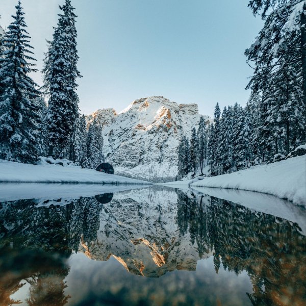 зимний лес горы