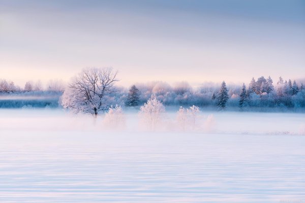 туман зимой