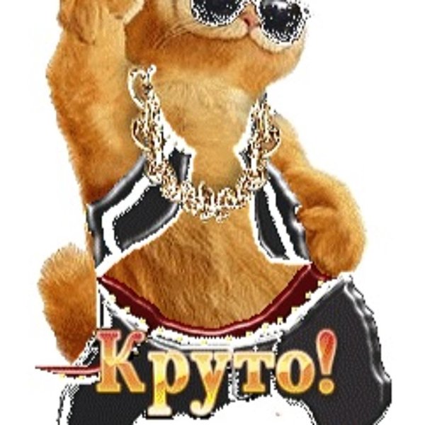 смешные анимашки