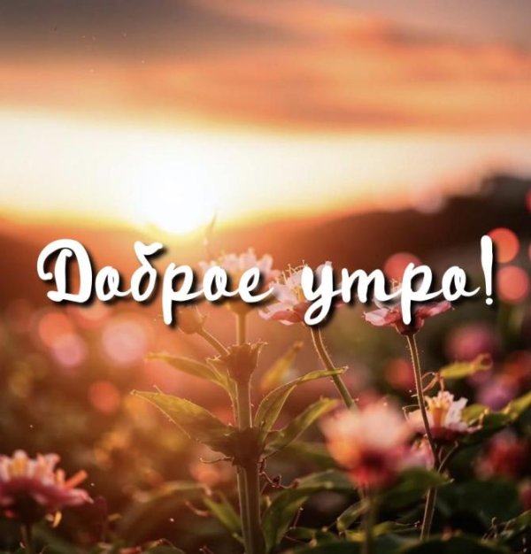 добра утра
