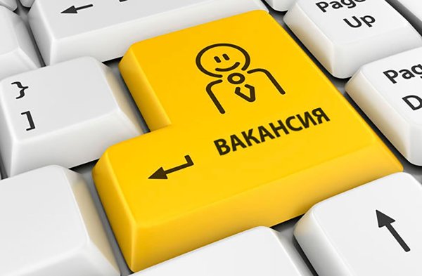 поиск работы