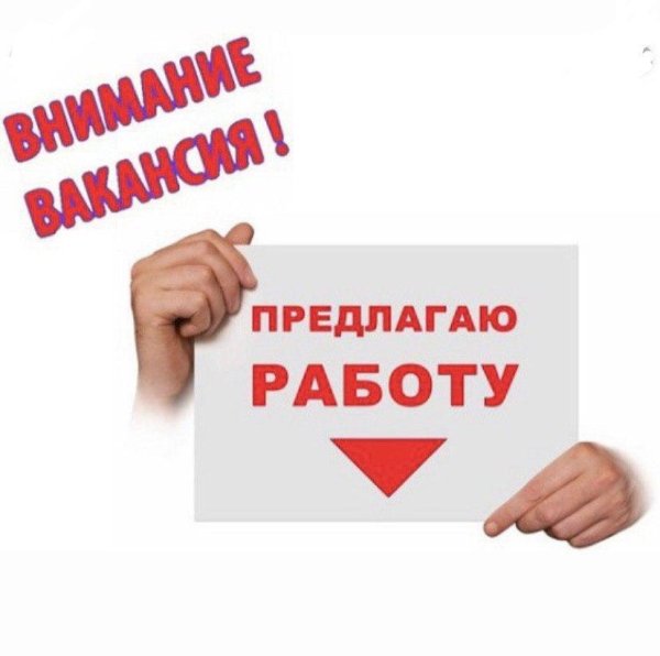 предлагаю работу