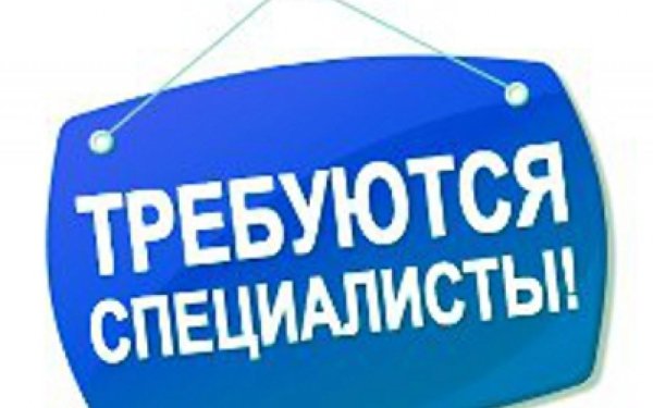 ищем специалистов в команду