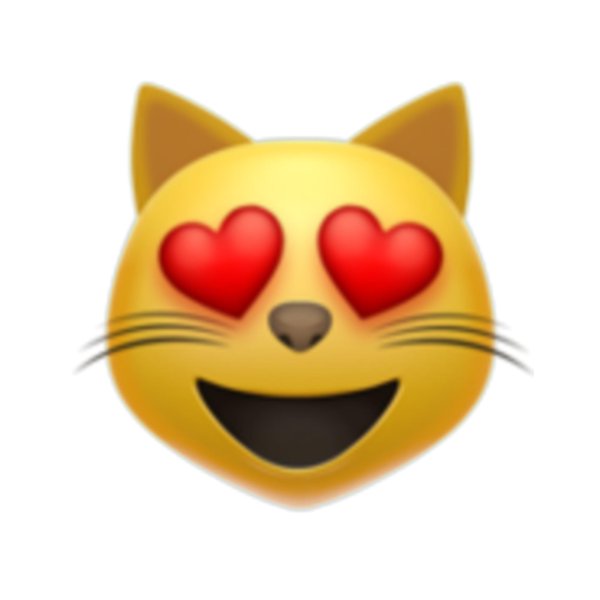 котик с глазами сердечками