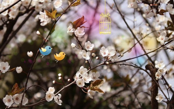 настроение весеннее