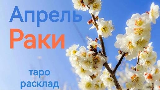 дни гороскопа