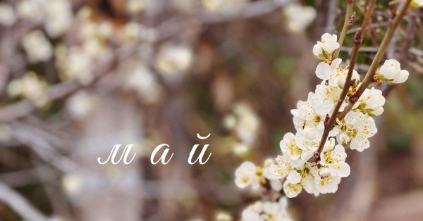 майские праздники