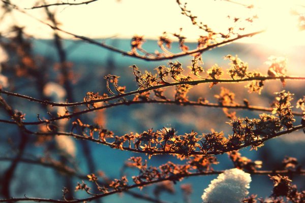 солнце зима