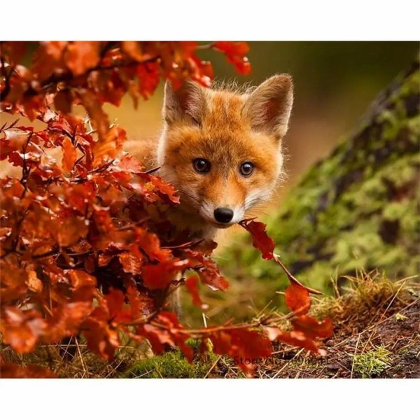 животные осень