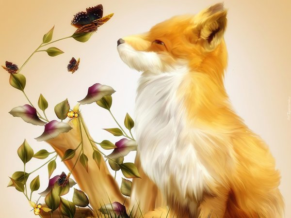 красивые рисунки лисы