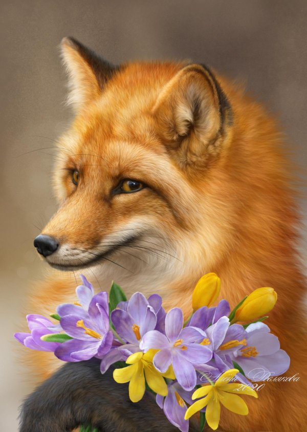 лисы и цветы